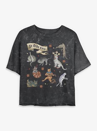 Ye Olde Cats Womens Mineral Wash Crop T-Shirt BoxLunch Exclusive