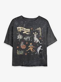 Ye Olde Cats Womens Mineral Wash Crop T-Shirt BoxLunch Exclusive