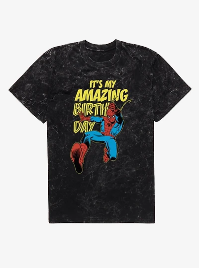 Marvel Comics Retro Spiderman It?s My Amazing Birthday Mineral Wash T-Shirt