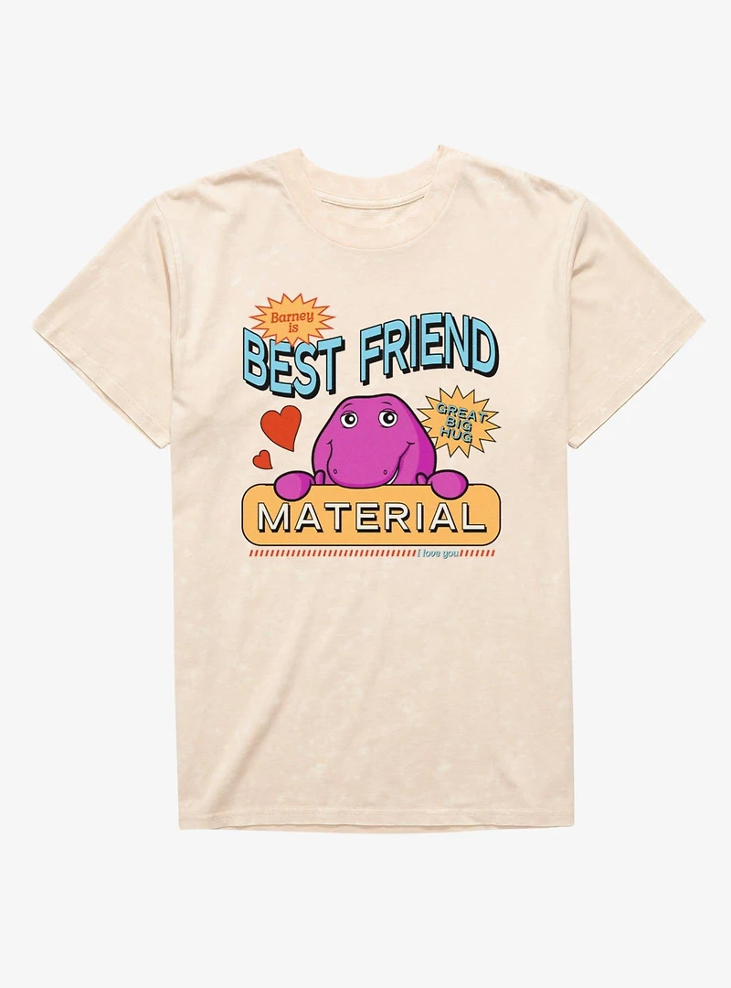 Barney Best Friend Material Mineral Wash T-Shirt