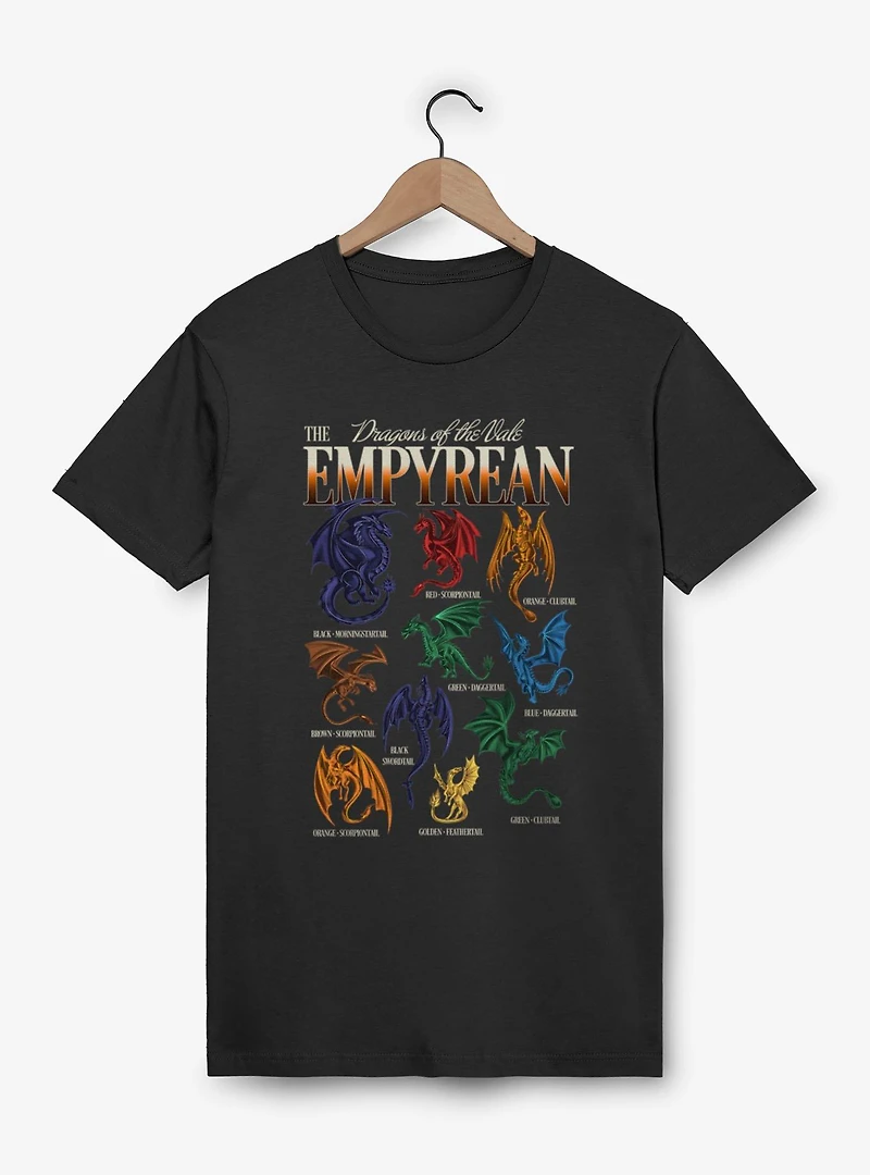 Fourth Wing The Empyrean Dragons Of Vale Retro T-Shirt