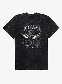 Fourth Wing The Empyrean Andarna Aesthetic Outlined Mineral Wash T-Shirt