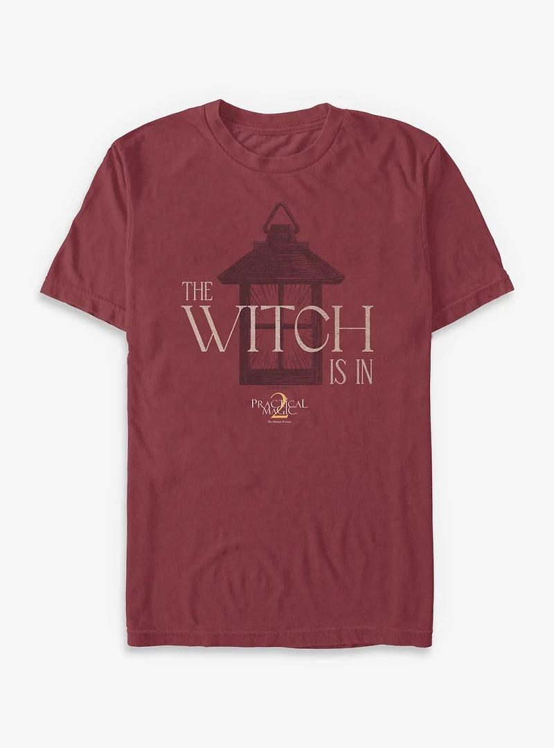 Practical Magic 2 The Witch Is Garment Dye T-Shirt