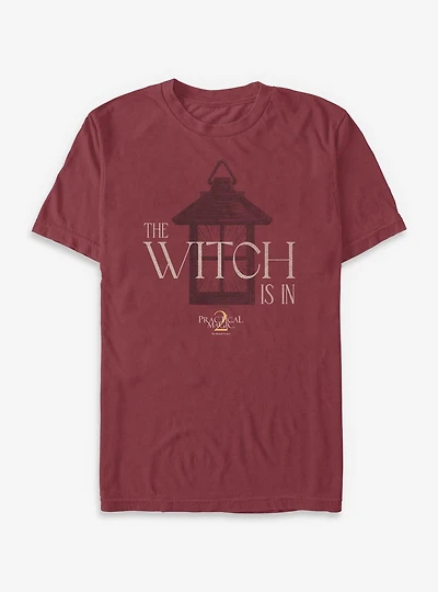 Practical Magic 2 The Witch Is Garment Dye T-Shirt