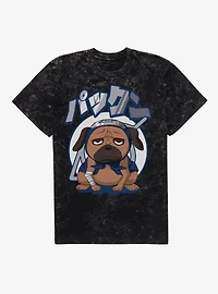 Naruto Pakkun Circle Mineral Wash T-Shirt BoxLunch Exclusive