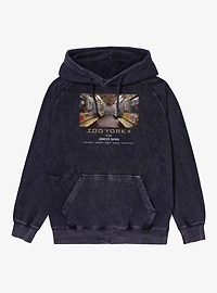 Zoo York Inside Train Mineral Wash Hoodie