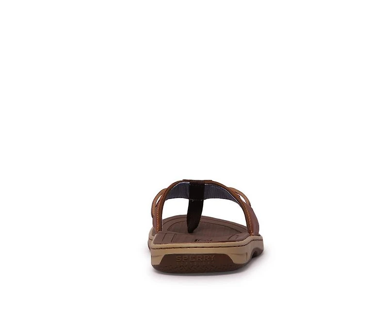 Men's Sperry Baitfish Thong Flip-Flops