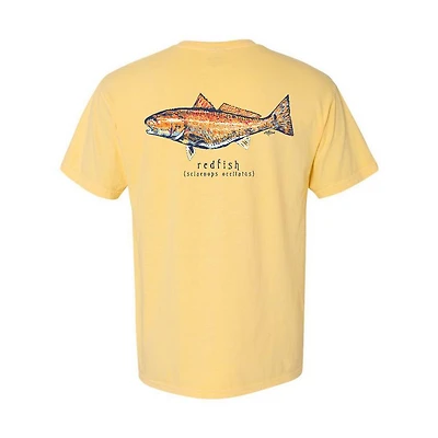PHINS Redfish Shirt
