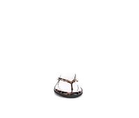 Women's Christina Royale Traycie Flip-Flops
