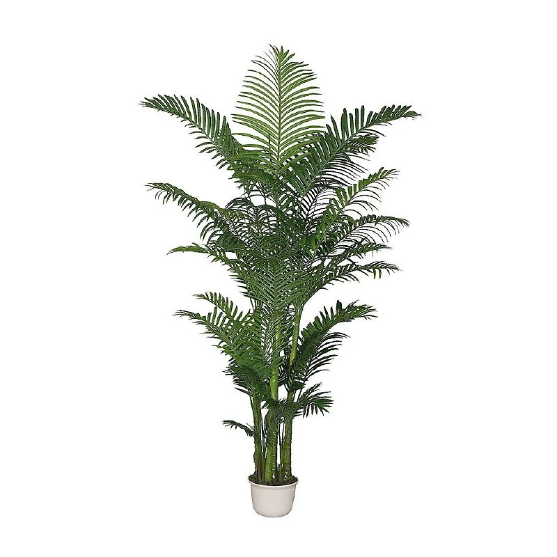 Areca Palm - 90"