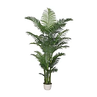 Areca Palm - 90"