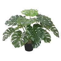 Monstera Plant-24"