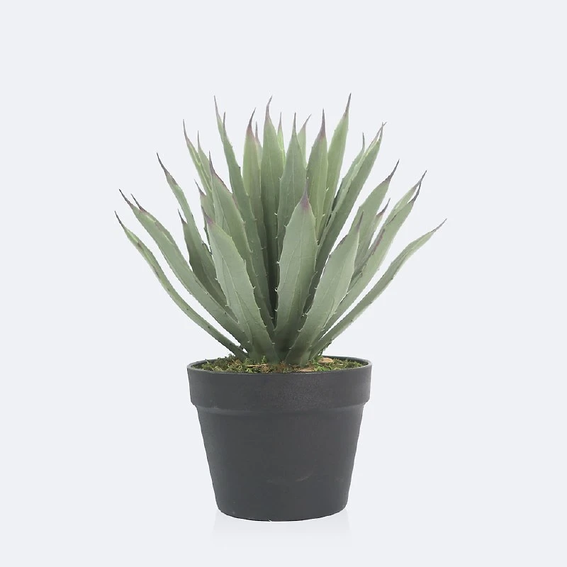 Faux Agave Plant
