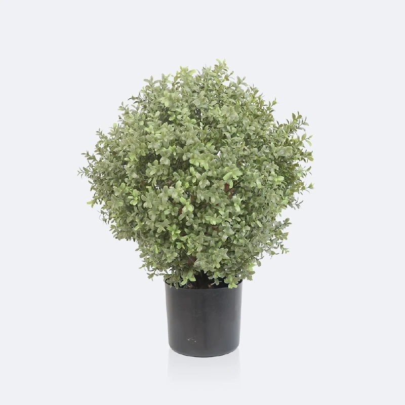 Faux Boxwood Topiary - 60cm