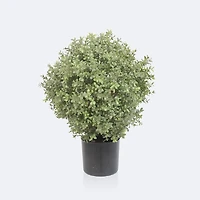Faux Boxwood Topiary - 60cm