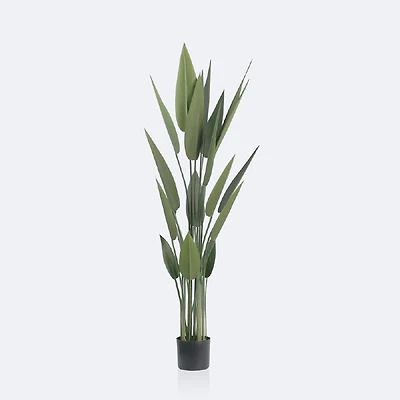 Faux Canna Plant