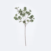 Faux Eucalyptus Branch