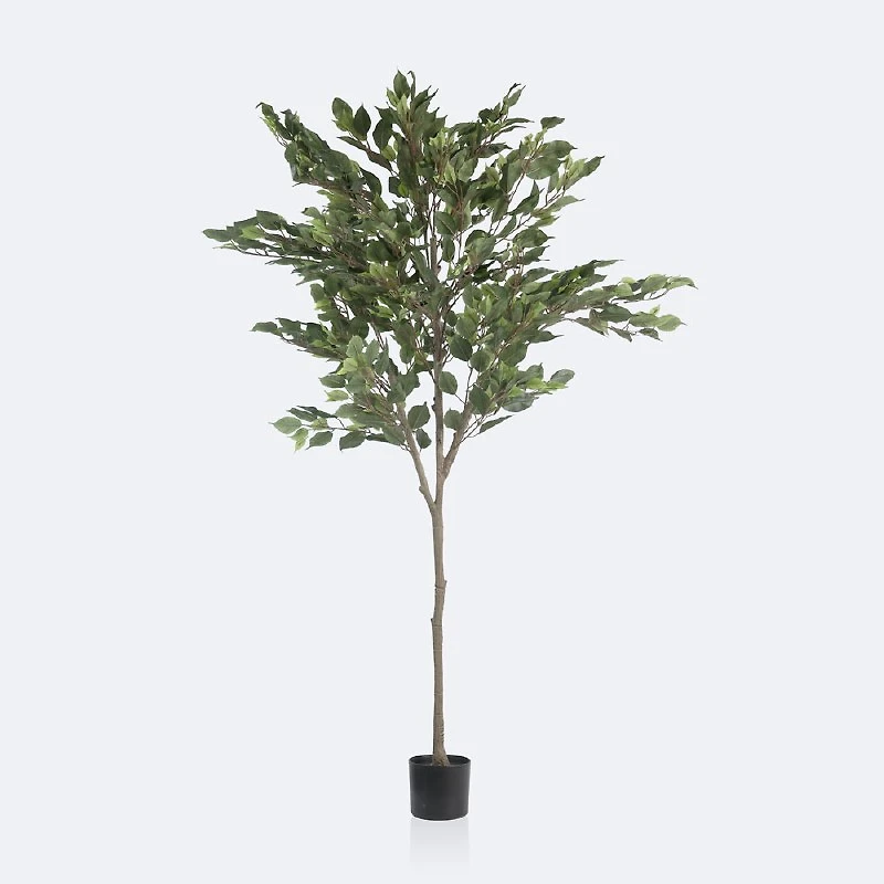 Faux Ficus Tree - 160cm