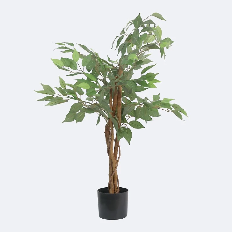 Faux Ficus Tree - 3 Trunks