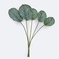 Green Leaves x 6