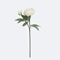 Faux Peony - White