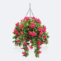 Hanging Planter - Bougainvillea
