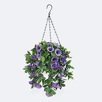 Hanging Planter - Petunias