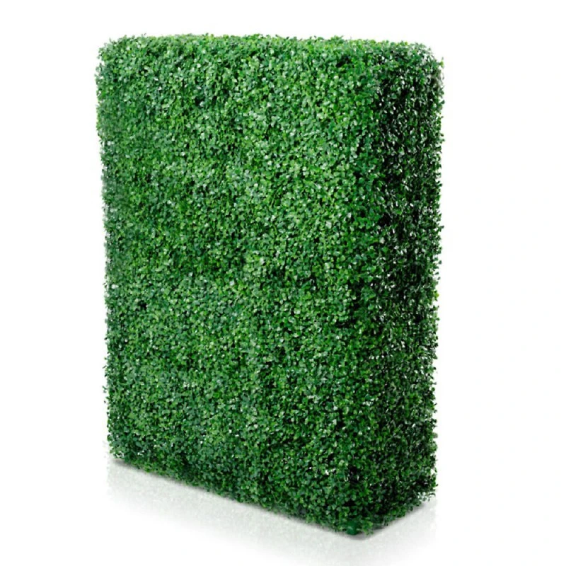 Boxwood Cube Hedge
