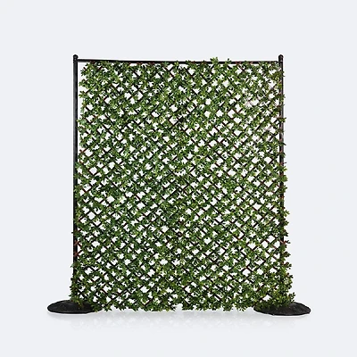 Privacy Screen Set with Trellis