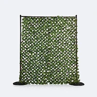 Privacy Screen Set with Trellis