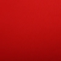 25"x25" Deep Seating Seat Cushion - Classic Red