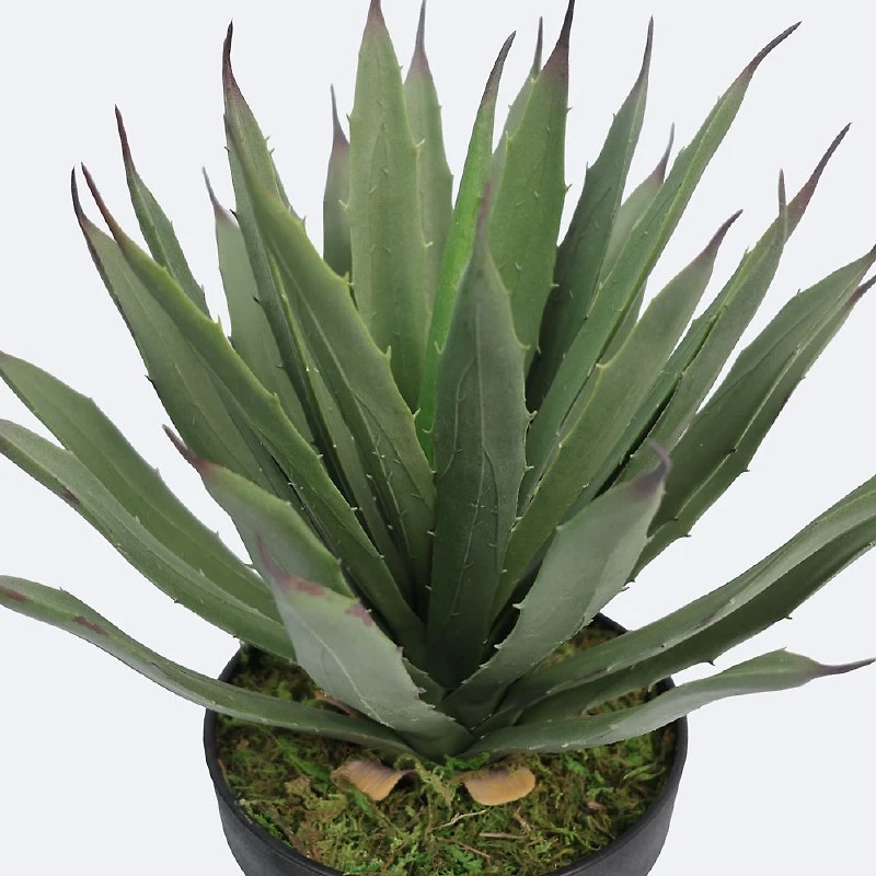 Faux Agave Plant