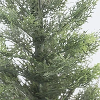 Faux Cedar Bush - 60cm