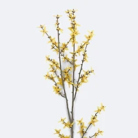 Faux Forsythia Branch