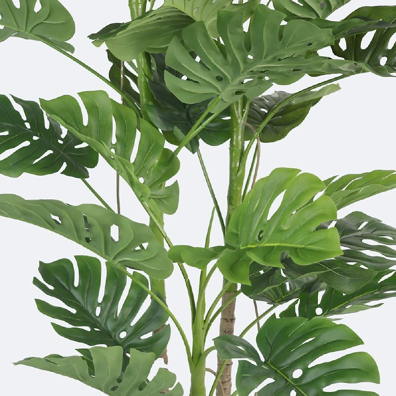 Faux Monstera Plant - 210cm