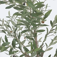 Faux Olive Tree