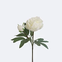 Faux Peony - White