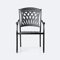 Ivy Dining Armchair - Black Tippet