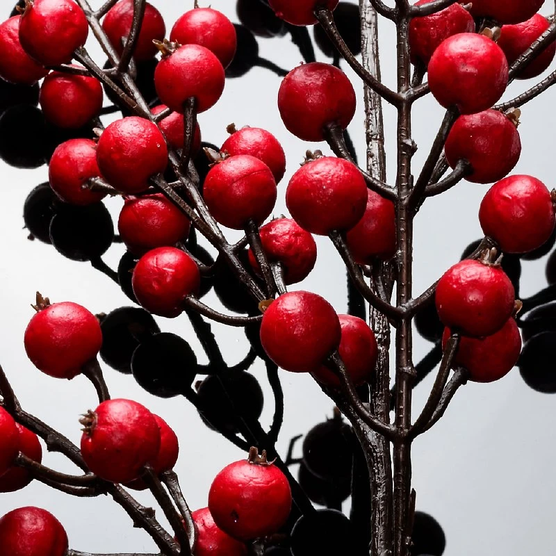 30in waterproof berry spray