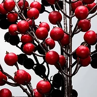 30in waterproof berry spray