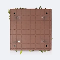 Artificial Wall Art - Fern
