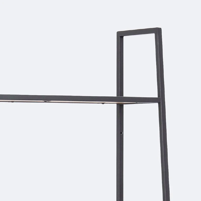 Seaford Ladder  Bookcase