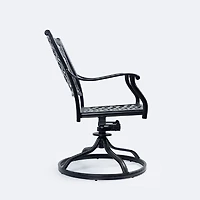 Blanca Swivel Rocker - Black Tippet