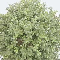 Faux Boxwood Topiary - 60cm