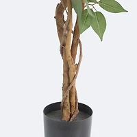 Faux Ficus Tree - 3 Trunks