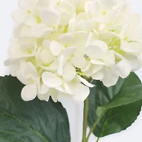 Faux Hydrangea - White