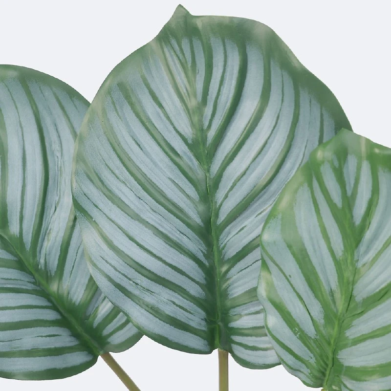 Green Leaves x 6