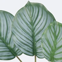 Green Leaves x 6