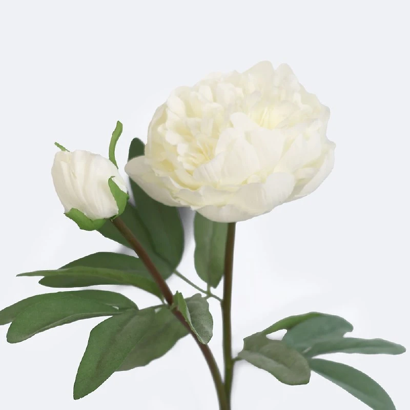 Faux Peony - White