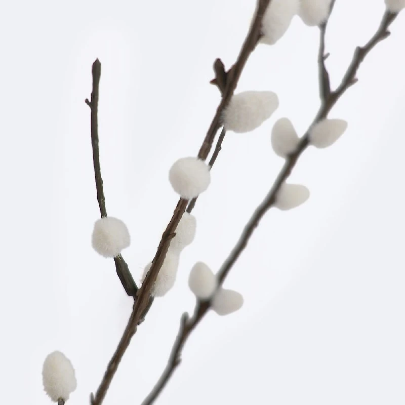 Faux Pussy Willow Branch